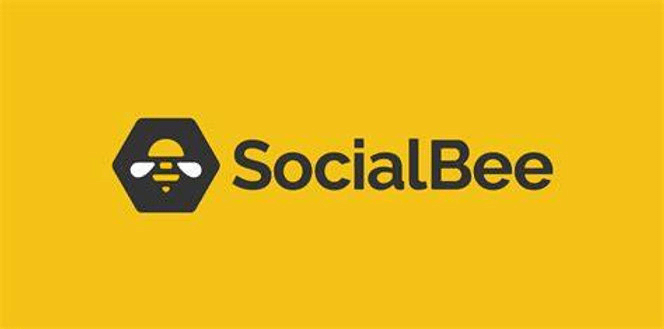 Social media management dashboard preview